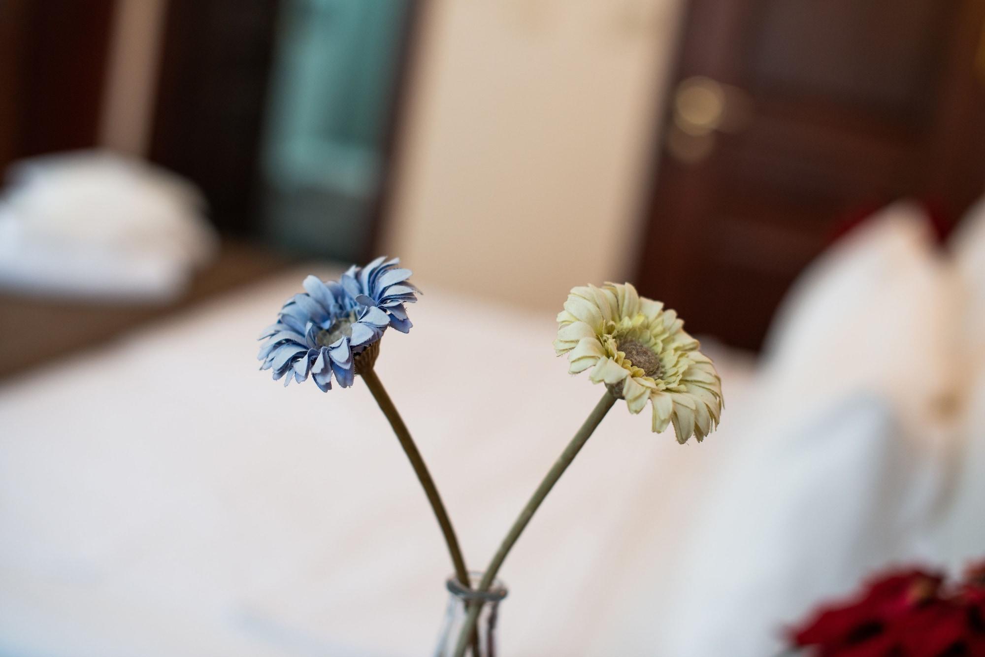 Sultanahmet Cesme Hotel Istanbul Luaran gambar